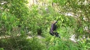 Public parks - part #1