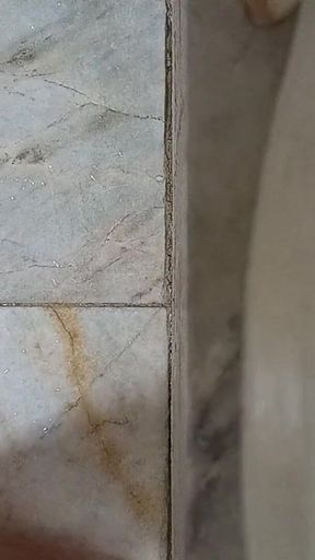 Solo Shower Play with Realistic Sex Toy | POV Masturbation