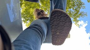 Trampling with Birkenstocks is just the warmup (small version)