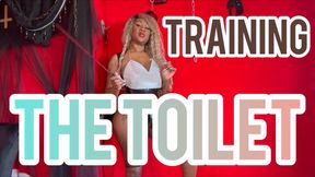 TRAINING THE TOILET