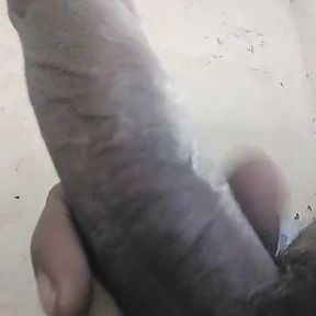 Sabse Khubsurat Land