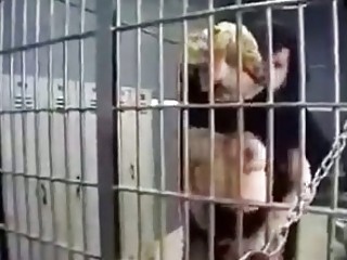 Sex with tranny in a jail