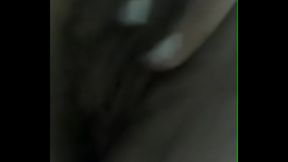 manda videos por whatsapp