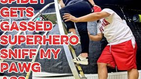 Spidey Gets Gassed: Superhero Sniffs My PAWG Ass Part 1