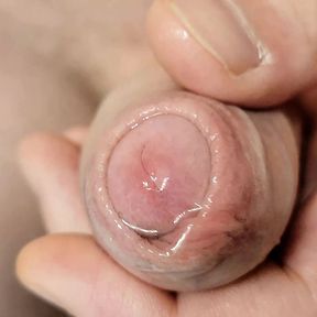 Uncut Wet Foreskin Close Up Cock