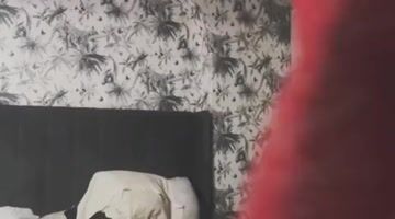 RevealMe.com - RoxxieDommeOx