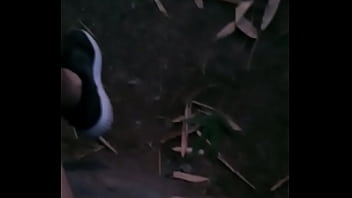 Paja en el parque
