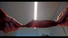 Asmr - Vampire Has His Way with You