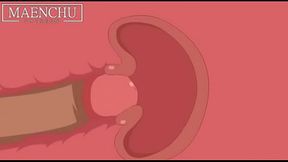 Videos que encuentro en mi Galer&iacute_a #12