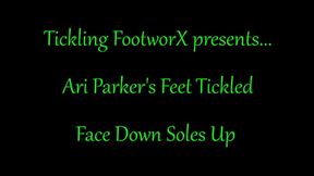 Ari Parkers Feet Tickled Face Down Soles Up