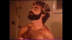 VCA Gay - LA Tool