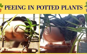 I Pee in the Potted Plant Again