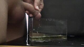 気持ちよくおしっこ遊びをしながら最後はその中に大量射精してしまう変態君。