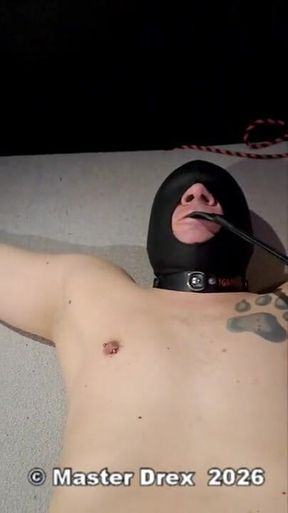 Lesson March 3, 2026