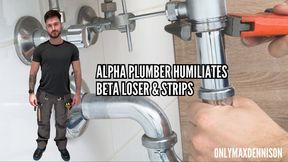 Alpha plumber beta loser humiliation