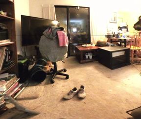 Hot Blonde Trying to Keep From Getting Pregnant While Her Boyfriend Waits in the Car!