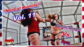 NorCal Kumite! Vol 11 WMV