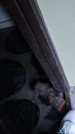 Vlog: a Week in Bariloche with the Best Argentinian Pornstars!