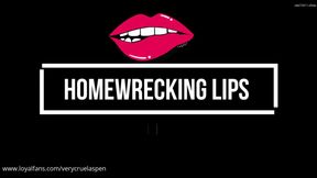 Home Wrecking Lips