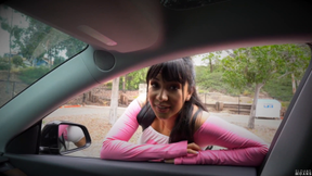 your step-daughter's bully