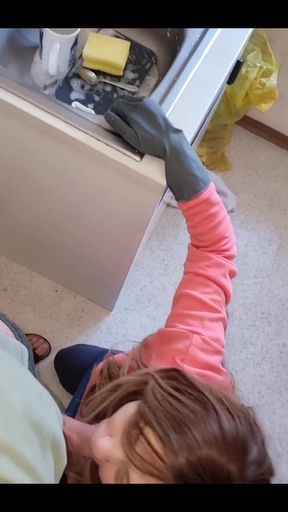 The Dishwasher Sucks