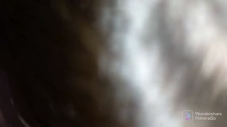 Argentina puta, hace videollamada con seguidor