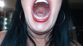 Tour The Terrors in my Mouth