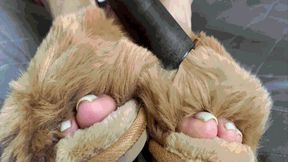 Fluffy Slippers: Game of Passion and ComfortWMV