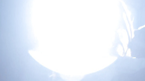 ”Deeper. Assfucking-queen Emily Willis & Seth succumb to sexual tension”