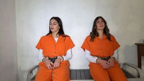 Gaia and Luna criminal organizzation - Part 2