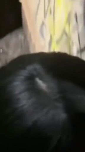 Sex on One of the Busiest Avenues in Sao Paulo