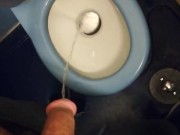 Long messy piss in the train toilet #2