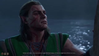 Baldur's Gate 3 Night with Bear form Halsin