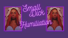 SPH 1 Small Penis Humilation By Ebony Goddess (Mean girl all the way)