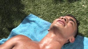 Falcon Studios: Dripping with Sweat and Raw Passion