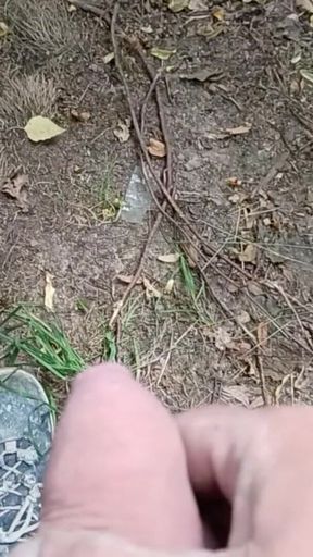 Czech Penis