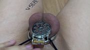 Caged and ready to be use