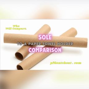 Sole Comparison To Paper Towel Holder