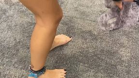 Barefoot in Public - HD