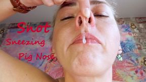 Custom Pig Nose Sneezing