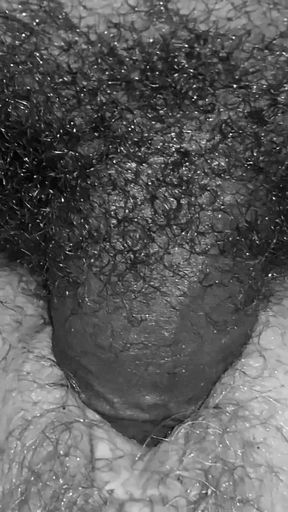 She Likes Dick Night