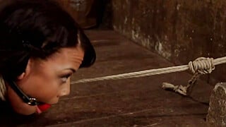 Newbie Bondage Sybian Sluts Extreme