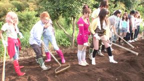 As construction workers sweat, 'the girls' tease with forbidden fruit on 'the field'