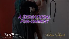 Sensational Pun-ishment