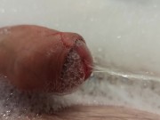 He comes, he pees and he disappears again