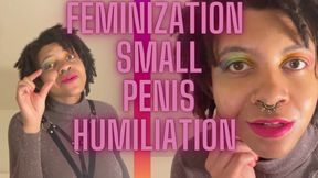 Feminization Series Part 2 Small Penis Humiliation