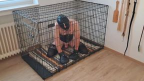 Blindfolded Caged Sissy Slave - Locked Away While Mistress Enjoys Her Lover