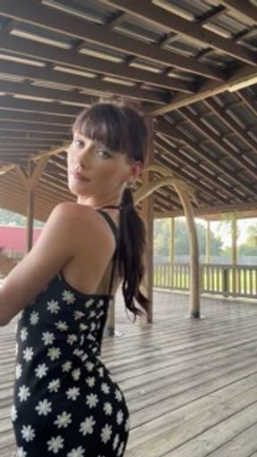 ThemeParkTease