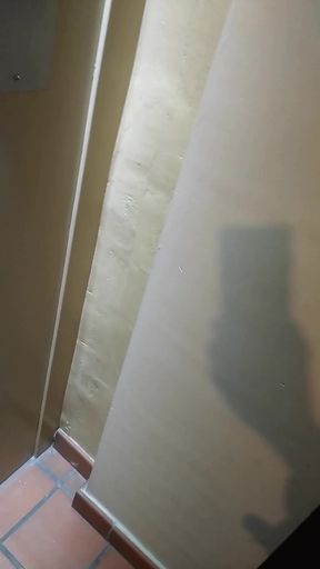 Michel Steuve Faggot Risky Exposure in Elevator
