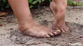 Picante Jenny Dirty Feet Tease